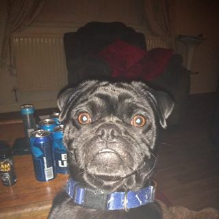 Terry Hooker's avatar