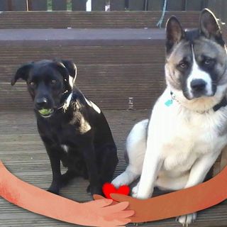 Wendy Jackson's avatar