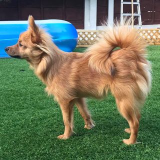 Laura Athorn's avatar