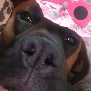 Claudia Claudia's avatar