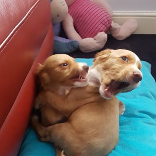 Paula Turner's avatar