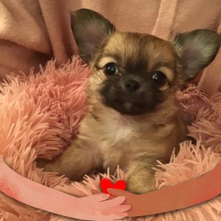 Julie Platek's avatar