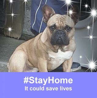 Maureen Wilkinson's avatar