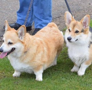 Norma Thompson's avatar