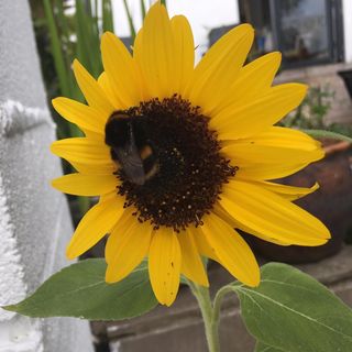 Victoria Hayes's avatar