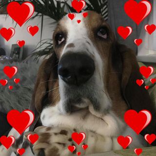 Mandy Stokes's avatar