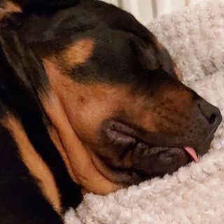 Michelle Denise's avatar