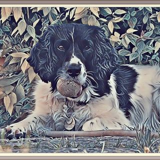 Julie Newman's avatar