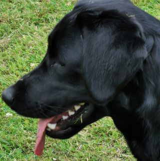 Suzie Turner's avatar