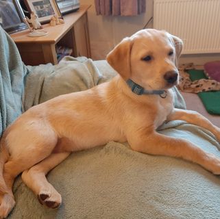 Kate Johnson's avatar