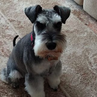 Richard Guiton's avatar