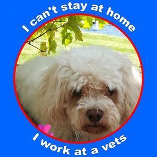 Margaret Gibney's avatar