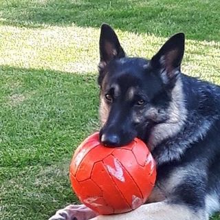 James Vanbeck's avatar