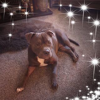 Lindsey Mason's avatar