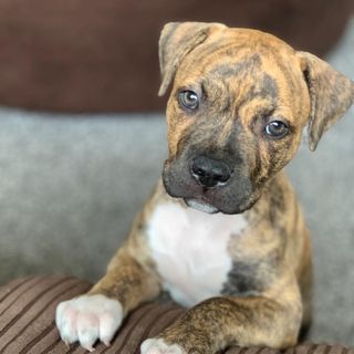 Anthony Parkinson's avatar