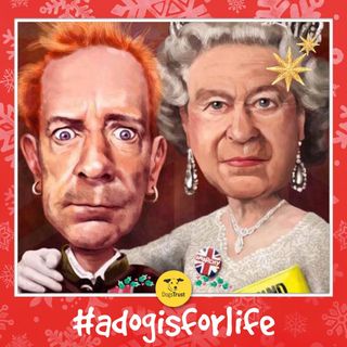 Nicola Nethercott's avatar