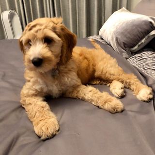 Jayson Mckenna's avatar