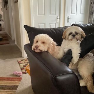 Patricia Birbeck's avatar