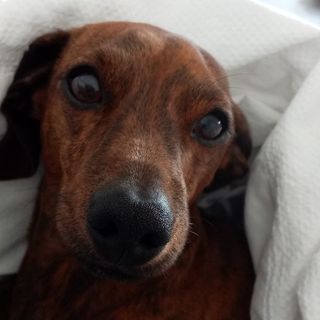 Wendy Pigott's avatar