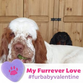 Jacquelyn Nicolson's avatar