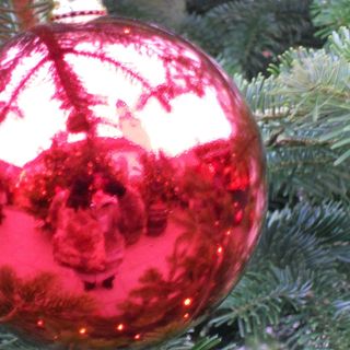 Jill Edgell's avatar