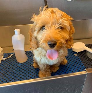 Mandy Smiler Farrow's avatar