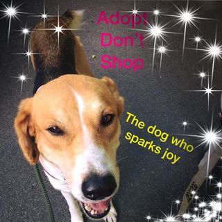 Caroline CW's avatar