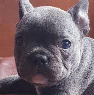 Jamie Chapman's avatar