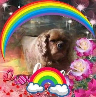 Shirley Brere's avatar