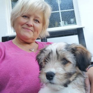 Deborah O'Connor's avatar