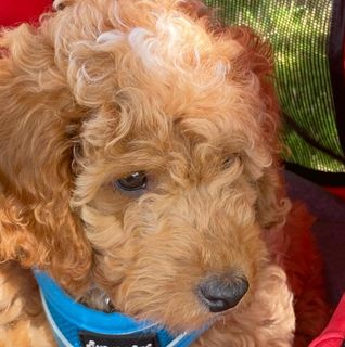 Julie Humphris's avatar