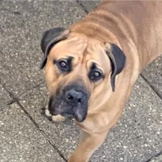 Christina Bagalexis's avatar