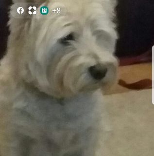 Kathy Strachan's avatar