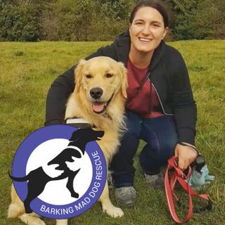 Bianca Blom's avatar