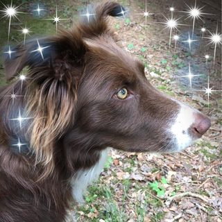 Lindsay Jordy's avatar