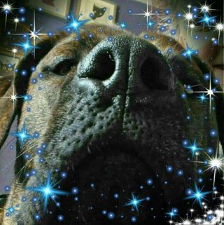 Angie Jones's avatar