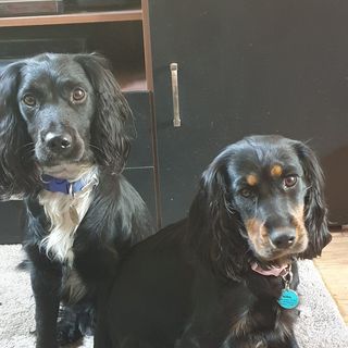 Kevin Barrett's avatar