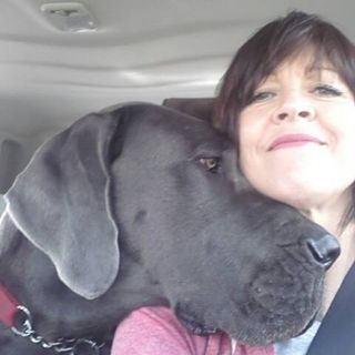 Mandy Elsom's avatar