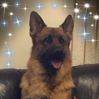 Isabel Milton's avatar