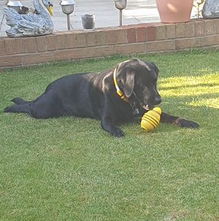 Ken Jenkins's avatar