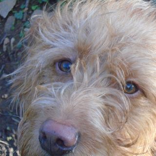 Marianne Tregoning's avatar