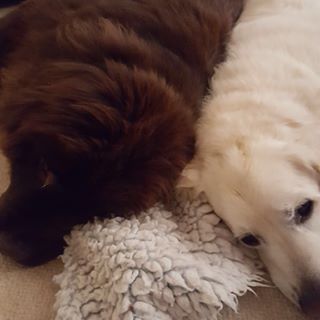 Rick Carol Markham's avatar