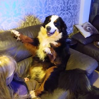 David Walton's avatar