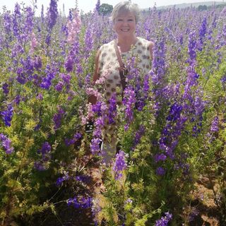 Lynn Molyneux's avatar