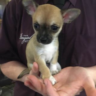 Brigette Conroy - Miller's avatar