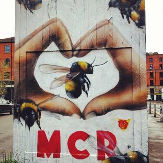 Sarah Mclean's avatar