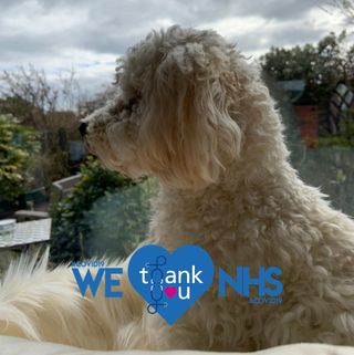 Frankie Gray's avatar