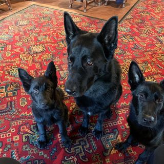 Allan Woods's avatar