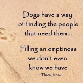 Keith Collier's avatar