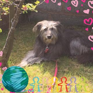 Davina Griffith's avatar